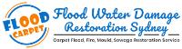 Flood Water Damage Restoration Sydney image 5