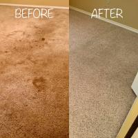 Carpet Sewage Cleaning Service Sydney image 4