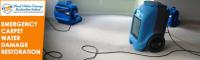 Emergency Carpet Water Damage Restoration Sydney image 4