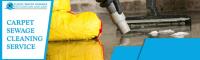 Carpet Sewage Cleaning Service Adelaide image 3