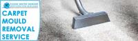 Carpet Mould Damage Removal Adelaide image 4