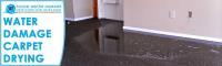 Water Damage Carpet Drying Adelaide image 4