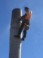 Advanced Arboriculture image 3