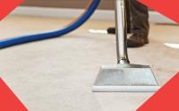 Carpet Cleaning Coogee image 6