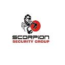 Scorpion Security Group logo