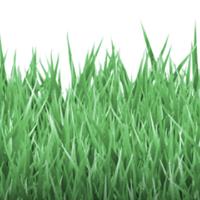 MyLawnCare Lawn Mowing Sydney image 2