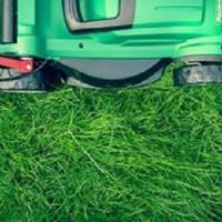 MyLawnCare Lawn Mowing Sydney image 3