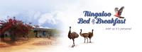 Ningaloo Bed & Breakfast image 4