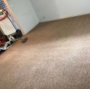 Carpet Cleaning Sydney logo