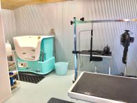 Bonny Dog Spa image 4