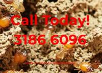 Termite and Pest Control North Brisbane image 11