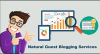 Every Day Blogs- Guest Posting image 3