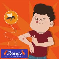 Henrys Pest Control Brisbane image 3