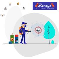 Henrys Pest Control Brisbane image 4