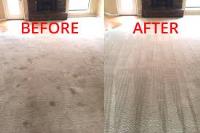 Carpet Cleaning Rowville image 2