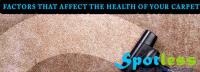 Carpet Cleaning Perth image 3