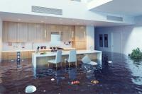 Mark Maunder Water Damage image 5