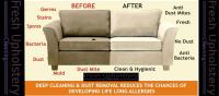 Fresh Upholstery Cleaning Hobart image 1