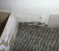 Carpet Cleaning Sunbury image 3