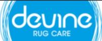 Devine Rug Care image 1