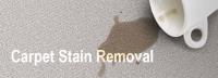 Carpet Cleaning Paddington image 6