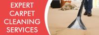 Carpet Cleaning Surfers Paradise image 1