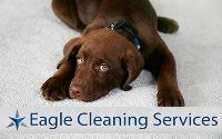 Carpet Cleaning Wilsonton image 9