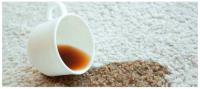 Carpet Cleaning Watson image 3