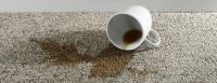 Carpet Cleaning Leichhardt image 13