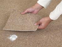 Carpet Repair Services Hobart image 3