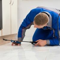 Pest Control Pakenham image 3