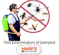 Pest Control Liverpool image 1