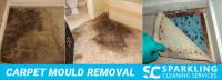 Best Carpet Cleaning Mosman image 2