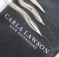 Carla Lawson - Hair Extensions Salon Melbourne image 2