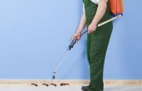 Pest Control Joondalup image 5