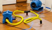 Carpet Cleaning Cranbourne image 3