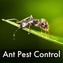 Antipesto Pest Control logo