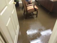 Flood Water Damage Restoration Adelaide image 2