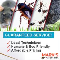 Pest Control Doveton image 5