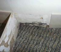 Carpet Cleaning Caroline Springs image 4