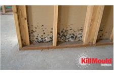 Kill Mould Australia image 3