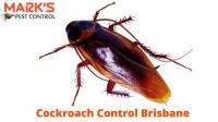 Cockroach Control Brisbane image 1