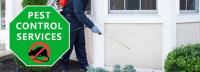 Pest Control Birkdale image 4