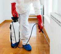 Pest Control Rowville image 10