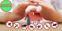 Pest Control Gungahlin image 4