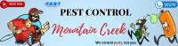 Pest Control Mountain Creek image 4