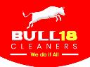 Bull18 Cleaners logo