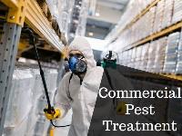 Pest Control Pimpama image 1