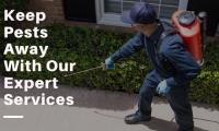 Pest Control Pimpama image 3