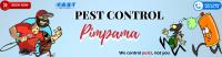 Pest Control Pimpama image 5